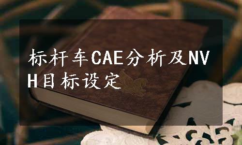 标杆车CAE分析及NVH目标设定