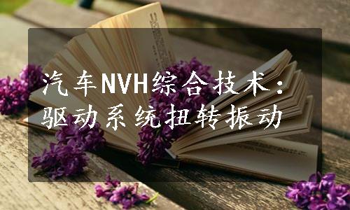 汽车NVH综合技术：驱动系统扭转振动