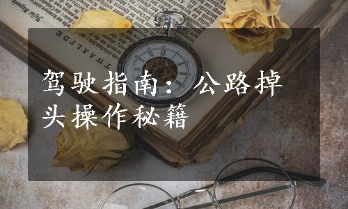 驾驶指南：公路掉头操作秘籍