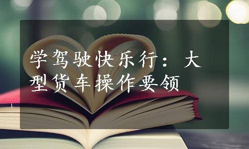 学驾驶快乐行：大型货车操作要领