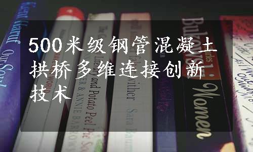 500米级钢管混凝土拱桥多维连接创新技术