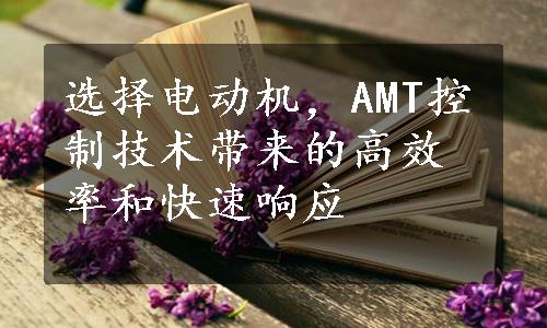 选择电动机，AMT控制技术带来的高效率和快速响应