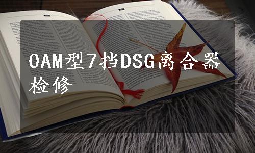 0AM型7挡DSG离合器检修