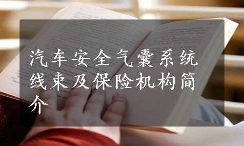 汽车安全气囊系统线束及保险机构简介