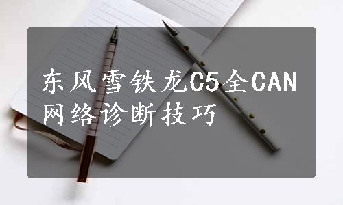 东风雪铁龙C5全CAN网络诊断技巧