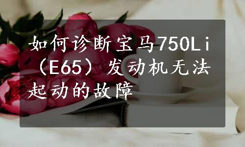 如何诊断宝马750Li（E65）发动机无法起动的故障