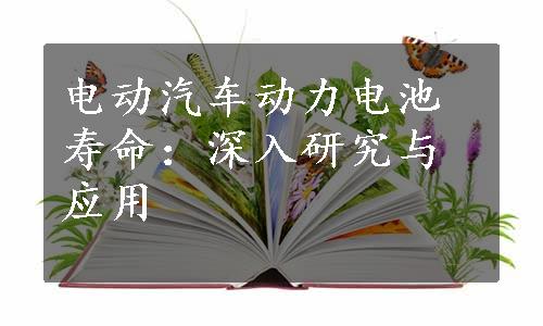 电动汽车动力电池寿命：深入研究与应用