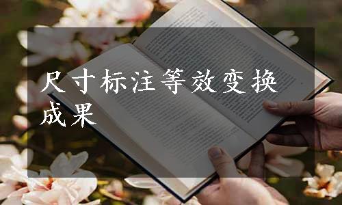 尺寸标注等效变换成果