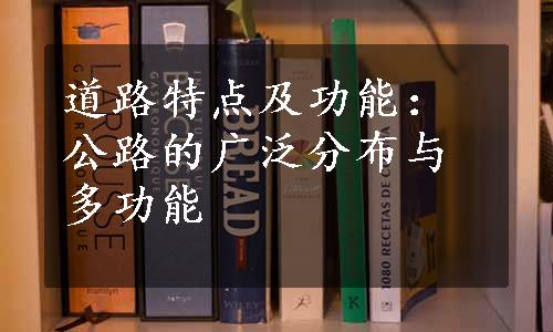 道路特点及功能：公路的广泛分布与多功能