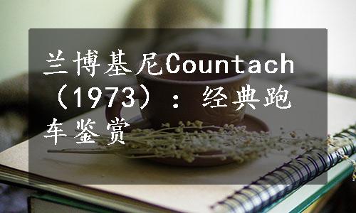 兰博基尼Countach（1973）：经典跑车鉴赏