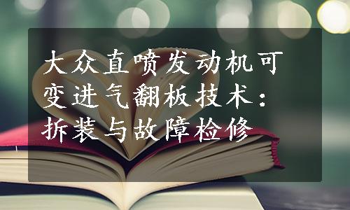 大众直喷发动机可变进气翻板技术：拆装与故障检修