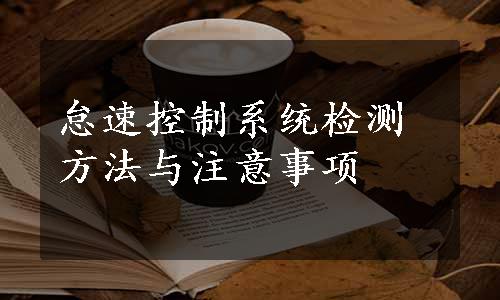 怠速控制系统检测方法与注意事项