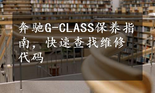 奔驰G-CLASS保养指南，快速查找维修代码