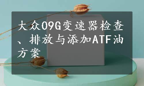 大众09G变速器检查、排放与添加ATF油方案