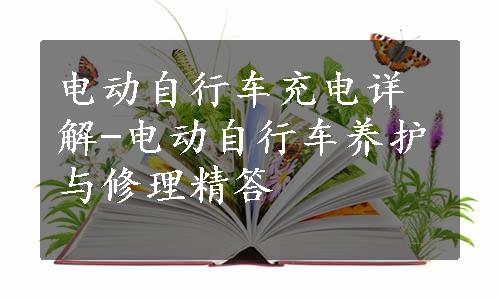 电动自行车充电详解-电动自行车养护与修理精答