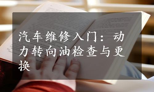 汽车维修入门：动力转向油检查与更换