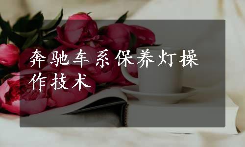 奔驰车系保养灯操作技术