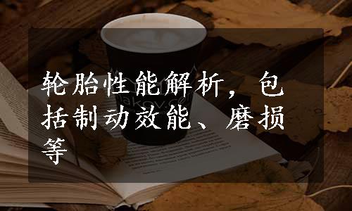 轮胎性能解析，包括制动效能、磨损等