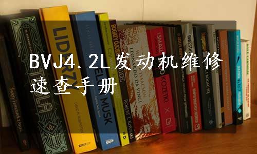 BVJ4.2L发动机维修速查手册