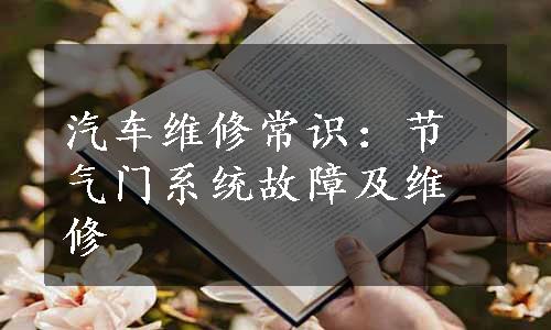 汽车维修常识：节气门系统故障及维修