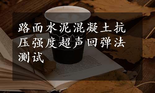 路面水泥混凝土抗压强度超声回弹法测试