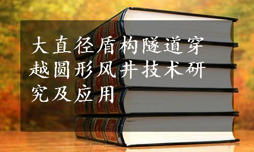 大直径盾构隧道穿越圆形风井技术研究及应用