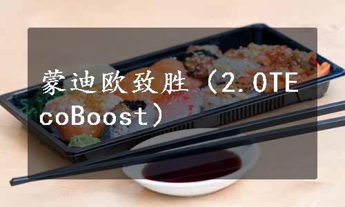 蒙迪欧致胜（2.0TEcoBoost）