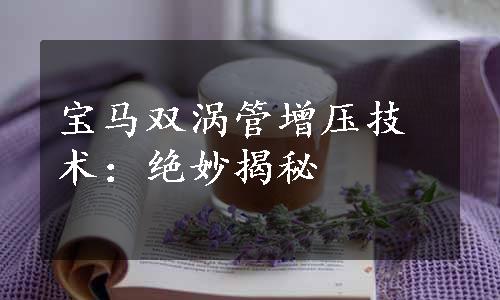 宝马双涡管增压技术：绝妙揭秘