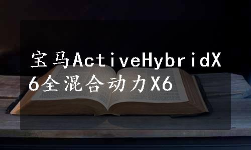 宝马ActiveHybridX6全混合动力X6