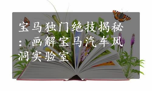 宝马独门绝技揭秘：画解宝马汽车风洞实验室