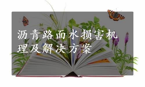 沥青路面水损害机理及解决方案