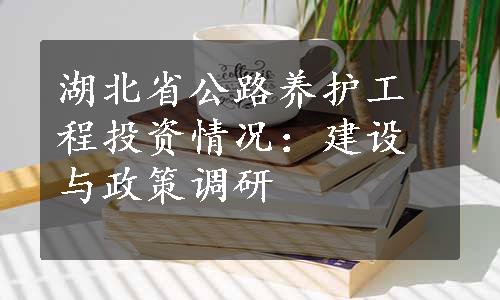 湖北省公路养护工程投资情况：建设与政策调研