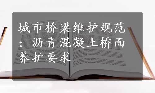 城市桥梁维护规范：沥青混凝土桥面养护要求