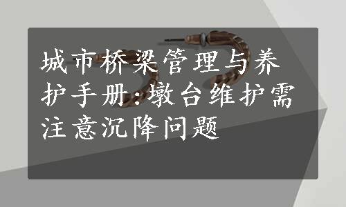 城市桥梁管理与养护手册:墩台维护需注意沉降问题