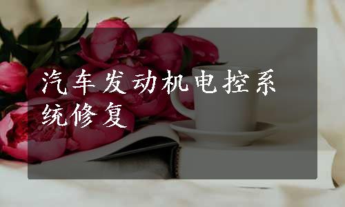 汽车发动机电控系统修复