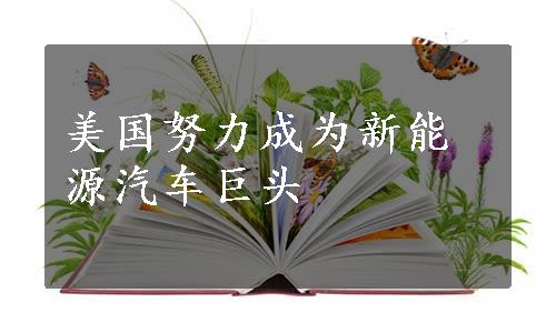 美国努力成为新能源汽车巨头