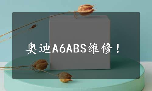 奥迪A6ABS维修！