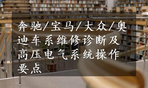 奔驰/宝马/大众/奥迪车系维修诊断及高压电气系统操作要点