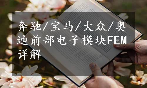 奔驰/宝马/大众/奥迪前部电子模块FEM详解