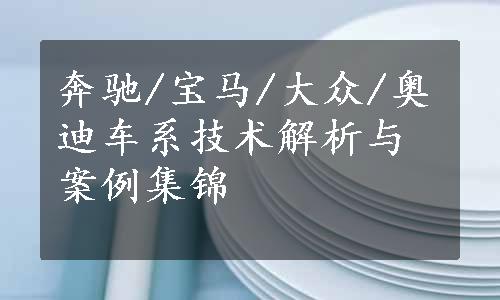 奔驰/宝马/大众/奥迪车系技术解析与案例集锦