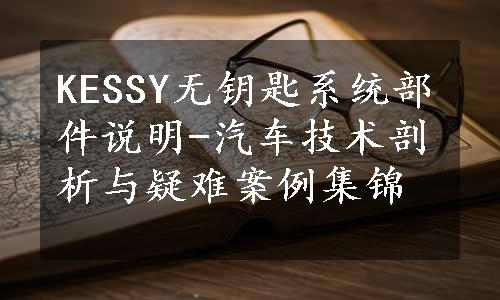 KESSY无钥匙系统部件说明-汽车技术剖析与疑难案例集锦