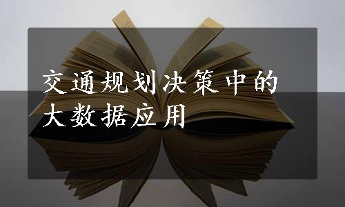 交通规划决策中的大数据应用