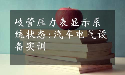 岐管压力表显示系统状态:汽车电气设备实训