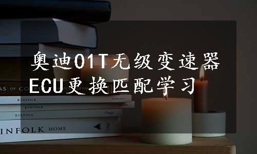 奥迪01T无级变速器ECU更换匹配学习