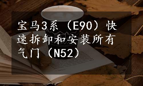 宝马3系（E90）快速拆卸和安装所有气门（N52）