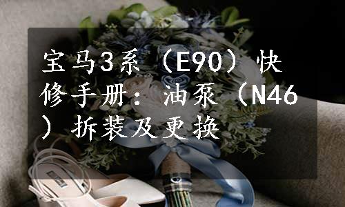 宝马3系（E90）快修手册：油泵（N46）拆装及更换