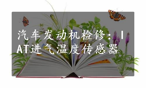 汽车发动机检修：IAT进气温度传感器