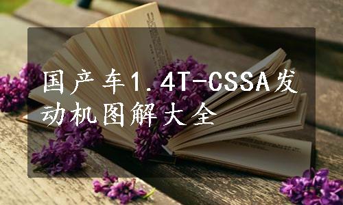 国产车1.4T-CSSA发动机图解大全