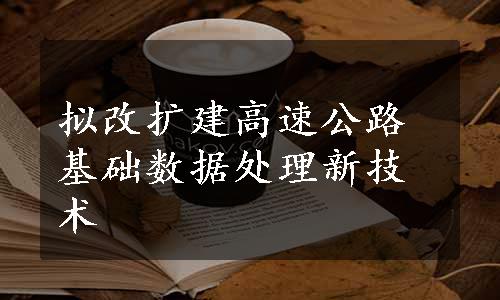 拟改扩建高速公路基础数据处理新技术