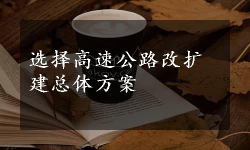 选择高速公路改扩建总体方案